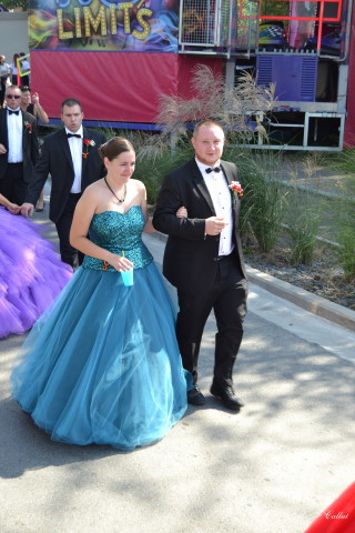 Photo mf-A_cra17_DSC_0040.JPG