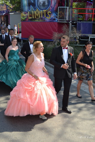 Photo mf-A_cra17_DSC_0043.JPG