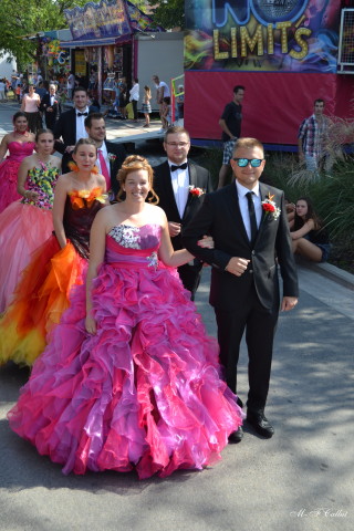 Photo mf-A_cra17_DSC_0091.JPG