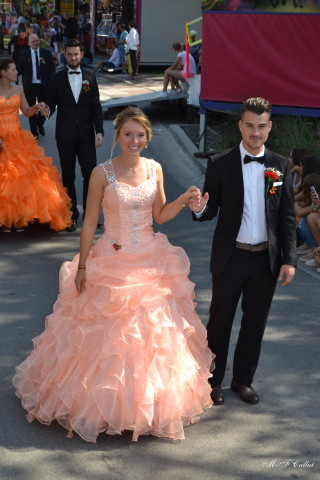 Photo mf-A_cra17_DSC_0106.JPG