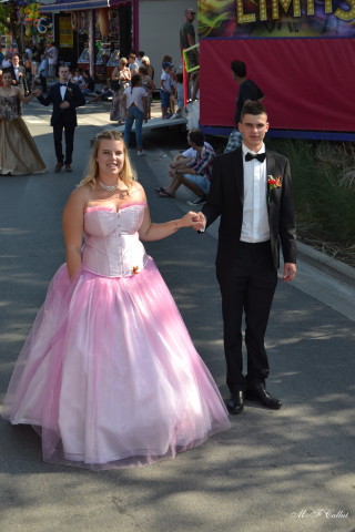 Photo mf-A_cra17_DSC_0184.JPG