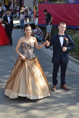 Photo mf-A_cra17_DSC_0185.JPG