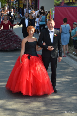 Photo mf-A_cra17_DSC_0237.JPG