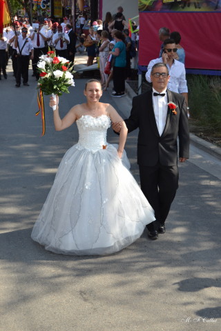 Photo mf-A_cra17_DSC_0246.JPG