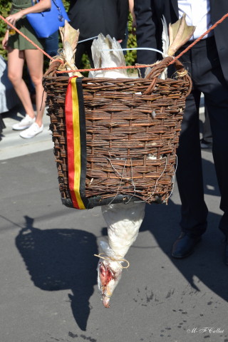 Photo mf-A_cra17_DSC_0258.JPG