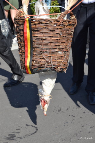 Photo mf-A_cra17_DSC_0259.JPG