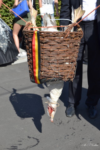 Photo mf-A_cra17_DSC_0260.JPG