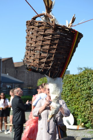 Photo mf-A_cra17_DSC_0262.JPG