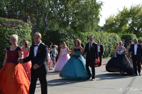 Photo mf-A_cra17_DSC_0282.JPG