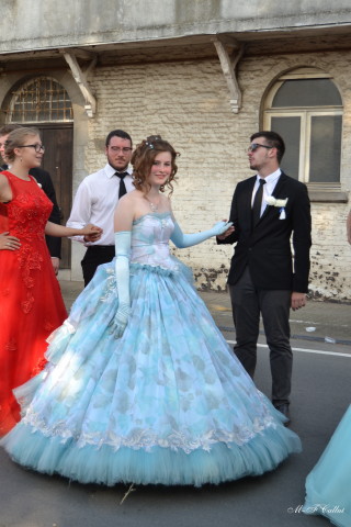 Photo mf-A_cra17_DSC_0298.JPG