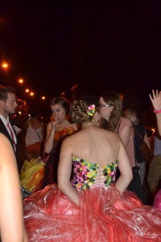 Photo mf-B_cra17_DSC_0007.JPG