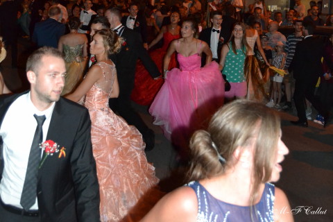 Photo mf-C_cra17_DSC_0026.JPG